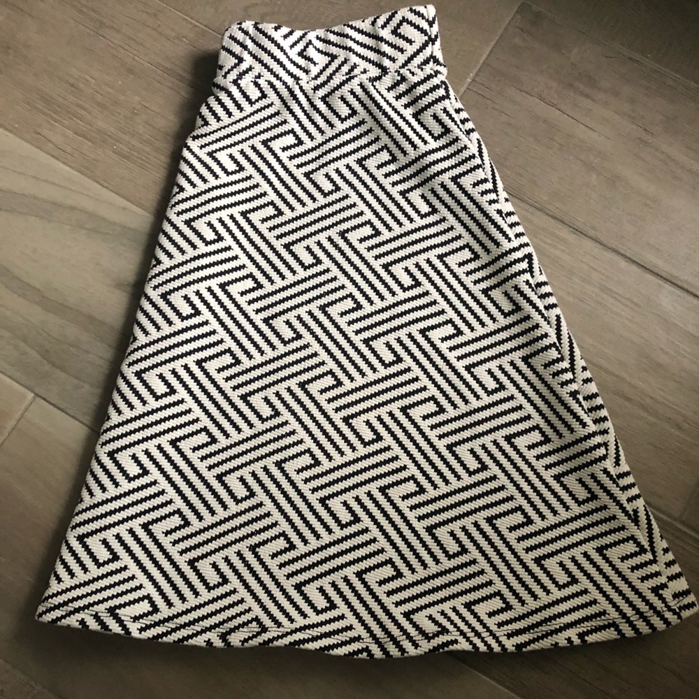 Stitch Fix Skirt